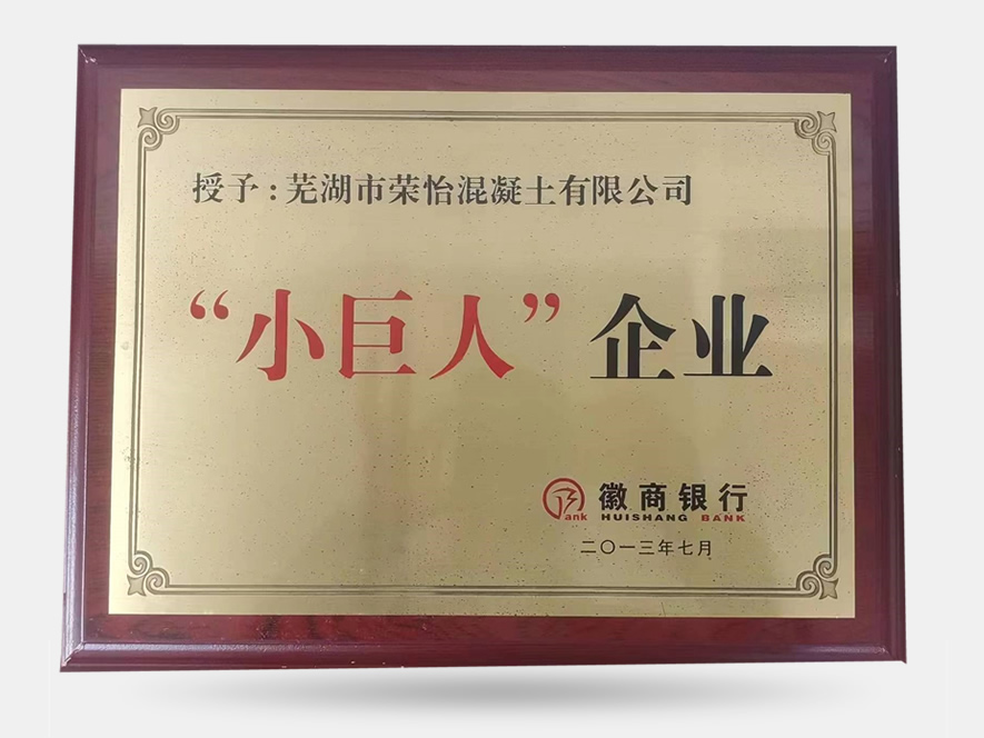 小巨人企业